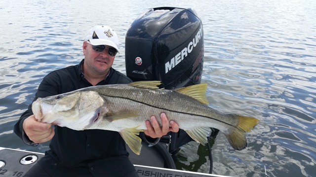 Spring Snook Fishing Charters in Tampa Bay