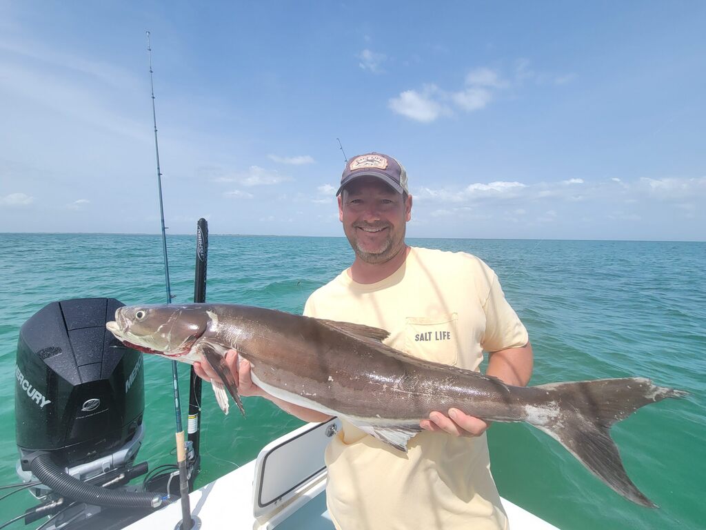 Good Tips to Become a Better Fisherman in Tampa Bay