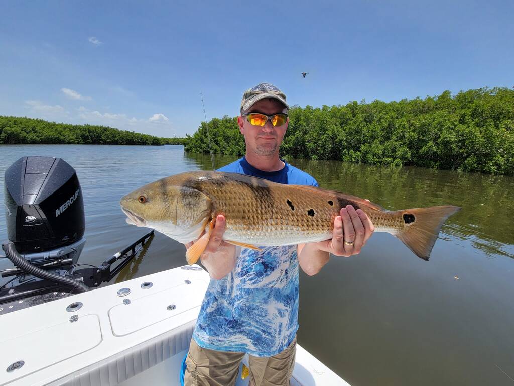 Summer Fishing in Tampa Bay