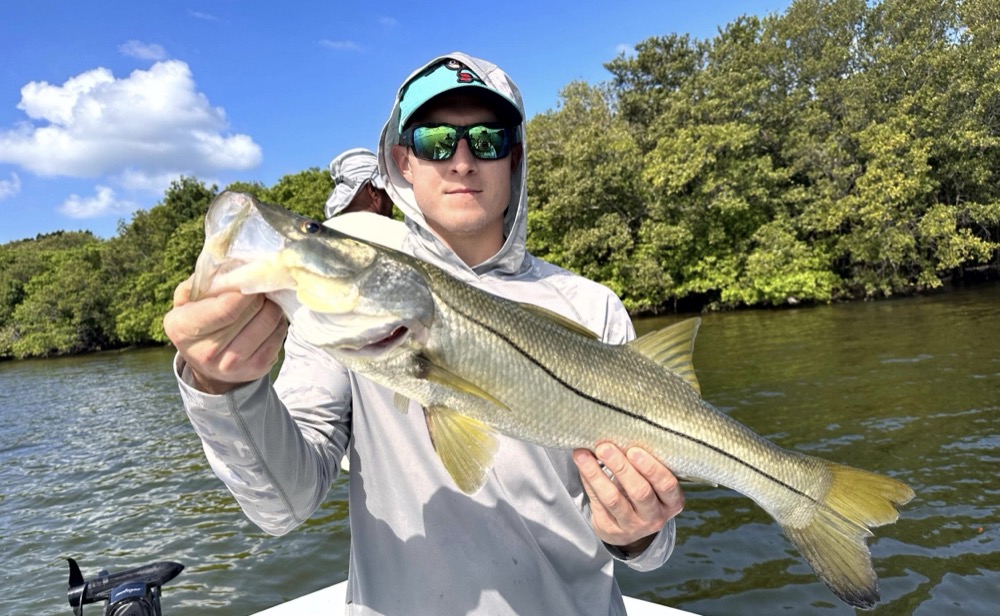 Techniques for Targeting Snook on a Tampa Fishing Charter