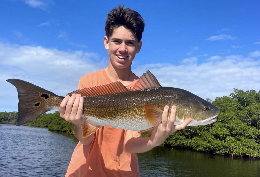 Species of Fish Commonly Found on Tampa Bay Inshore Fishing Trips