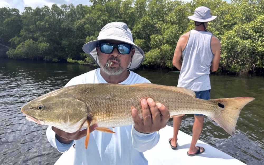 Common Habits of Redfish in Tampa Bay Waters