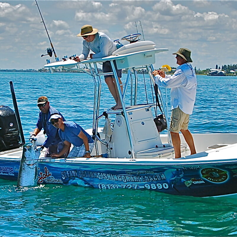 Time for Tarpon to invade Tampa Bay