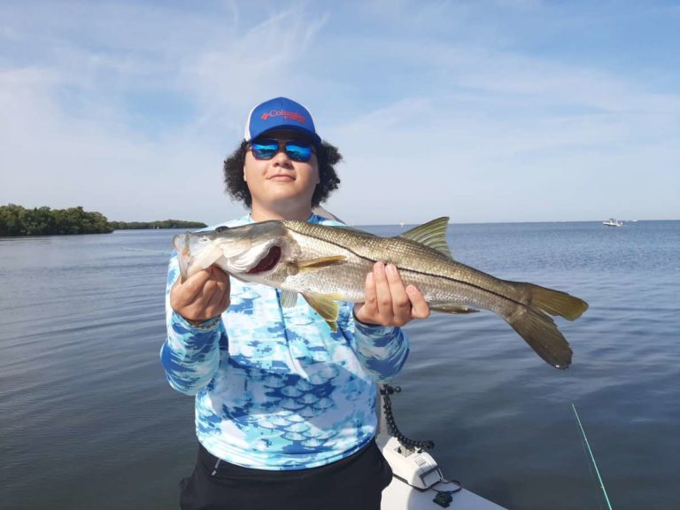 Five of my favorite artificial baits when fishing Tampa Bay