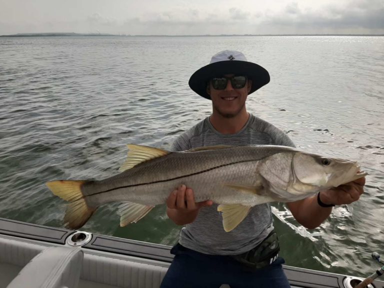 Tampa Bay fishing report for June 2020