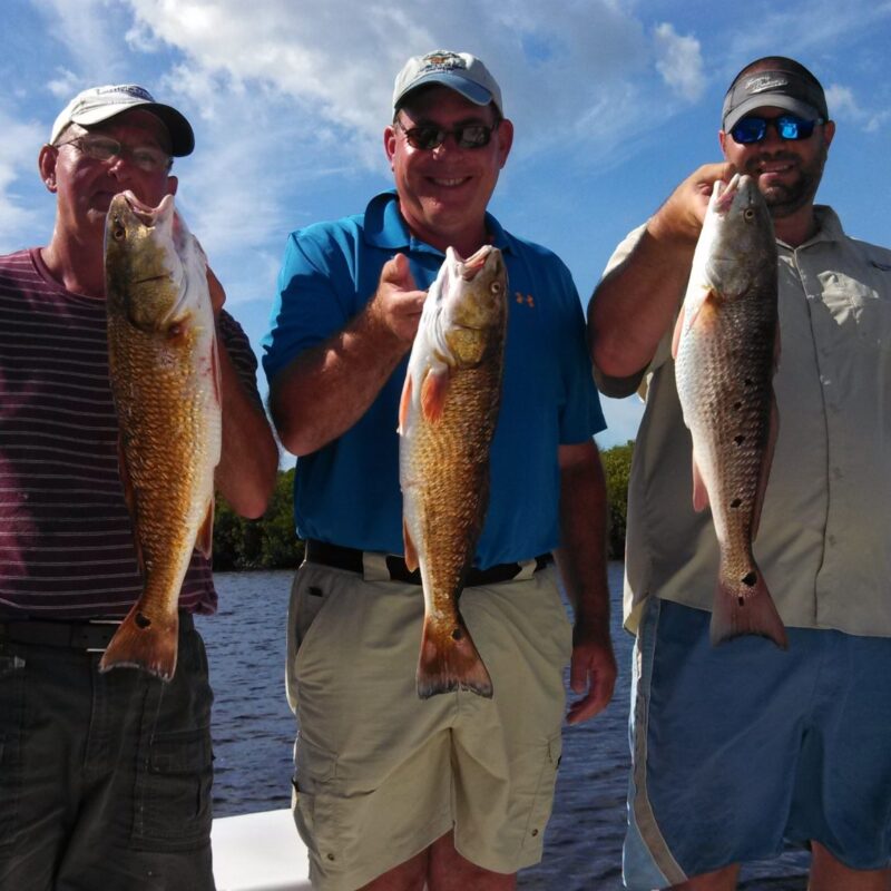 Tampa Bay Fall Fishing!!!!!!