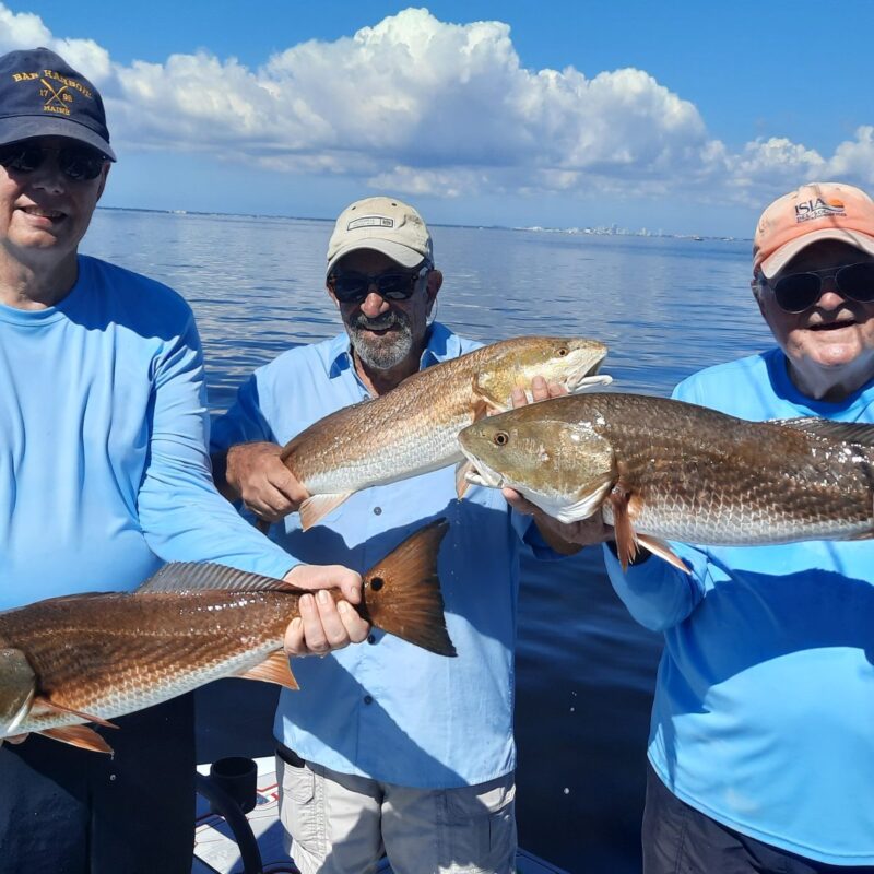 Tampa Bay Fall Fishing Report for Snook, Redfish and Trout