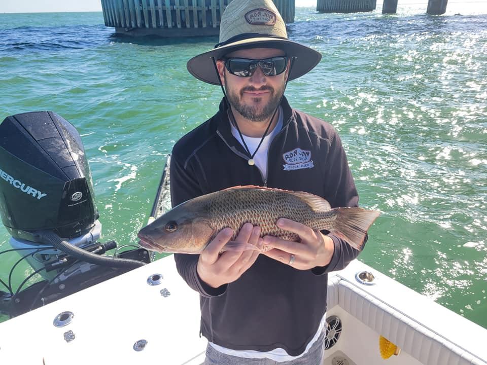 Tampa mangrove snapper