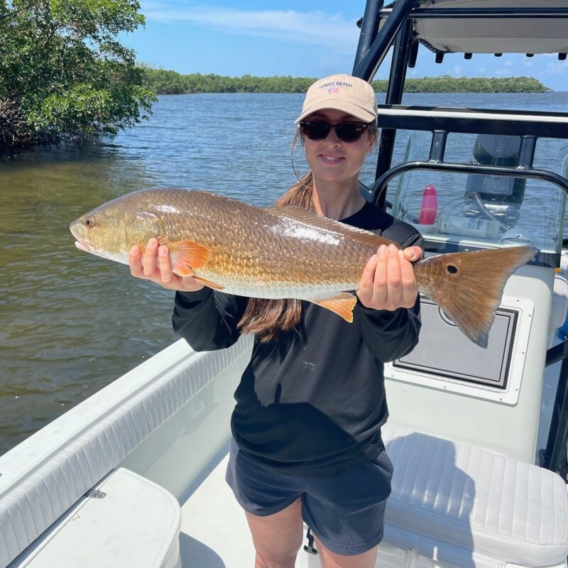 Tampa Redfish Fishing Charters