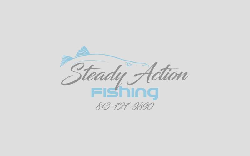 Tampa Bay fishing report for May